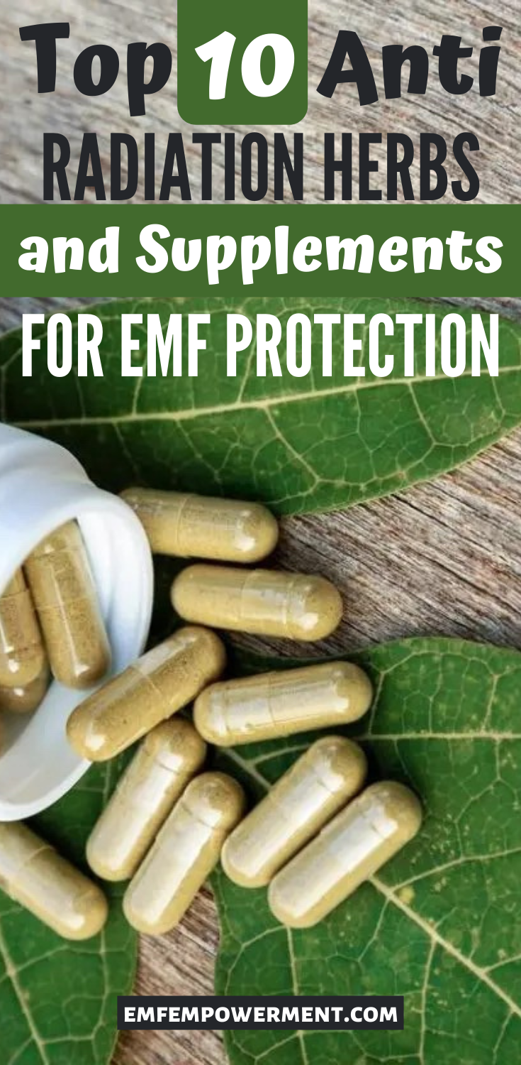 Top 10 Anti Radiation Herbs and Supplements for EMF Protection